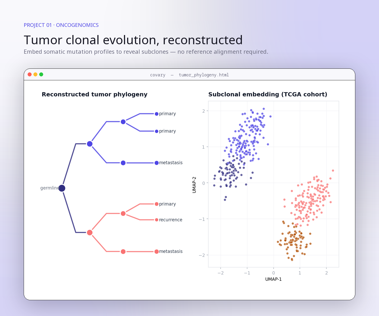 Tumor clonal evolution and oncogenomics with Covary