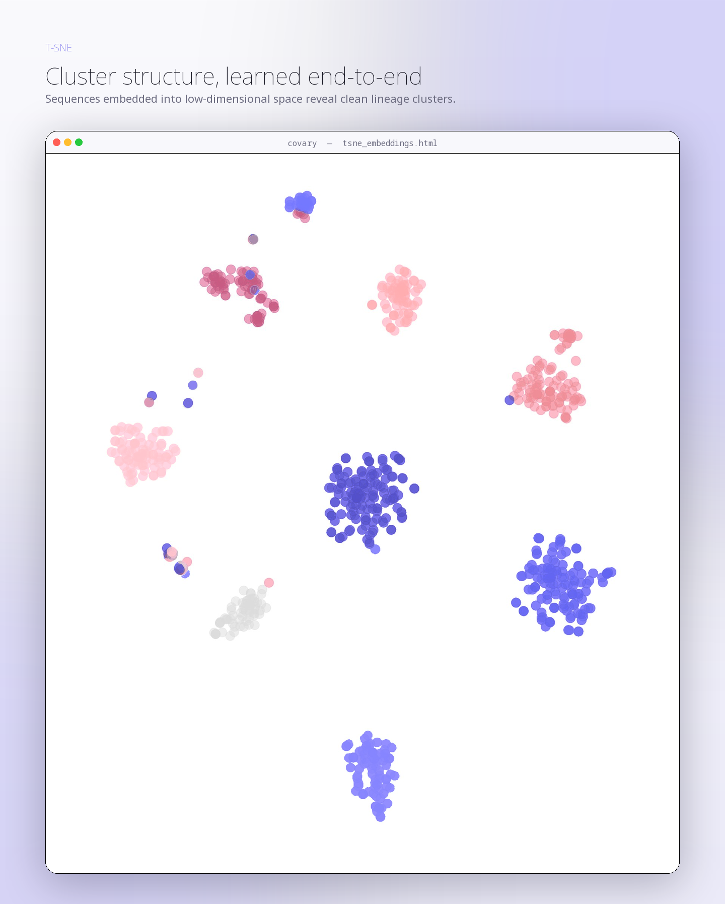 Covary t-SNE sequence embedding scatter plot