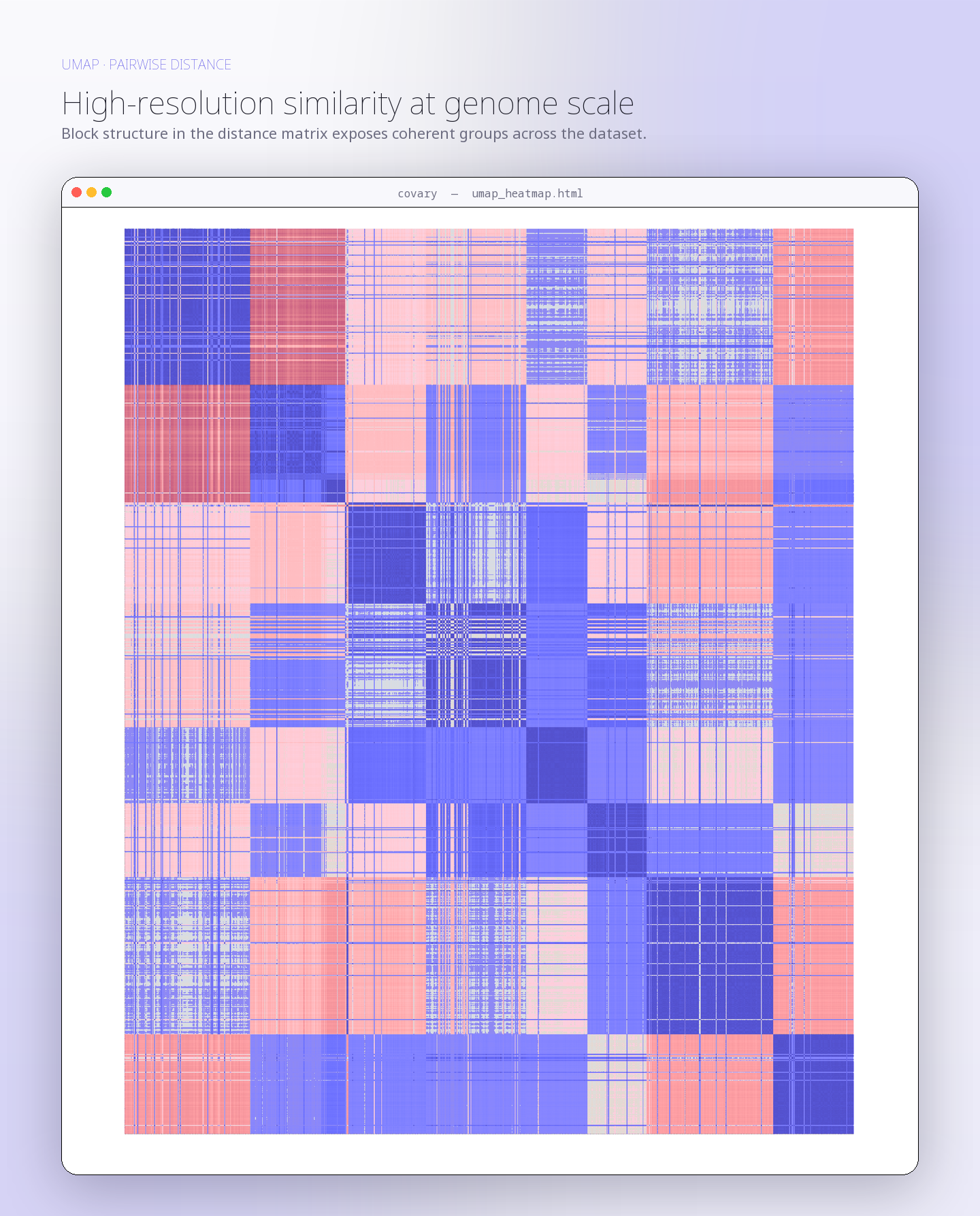 Covary UMAP distance heatmap