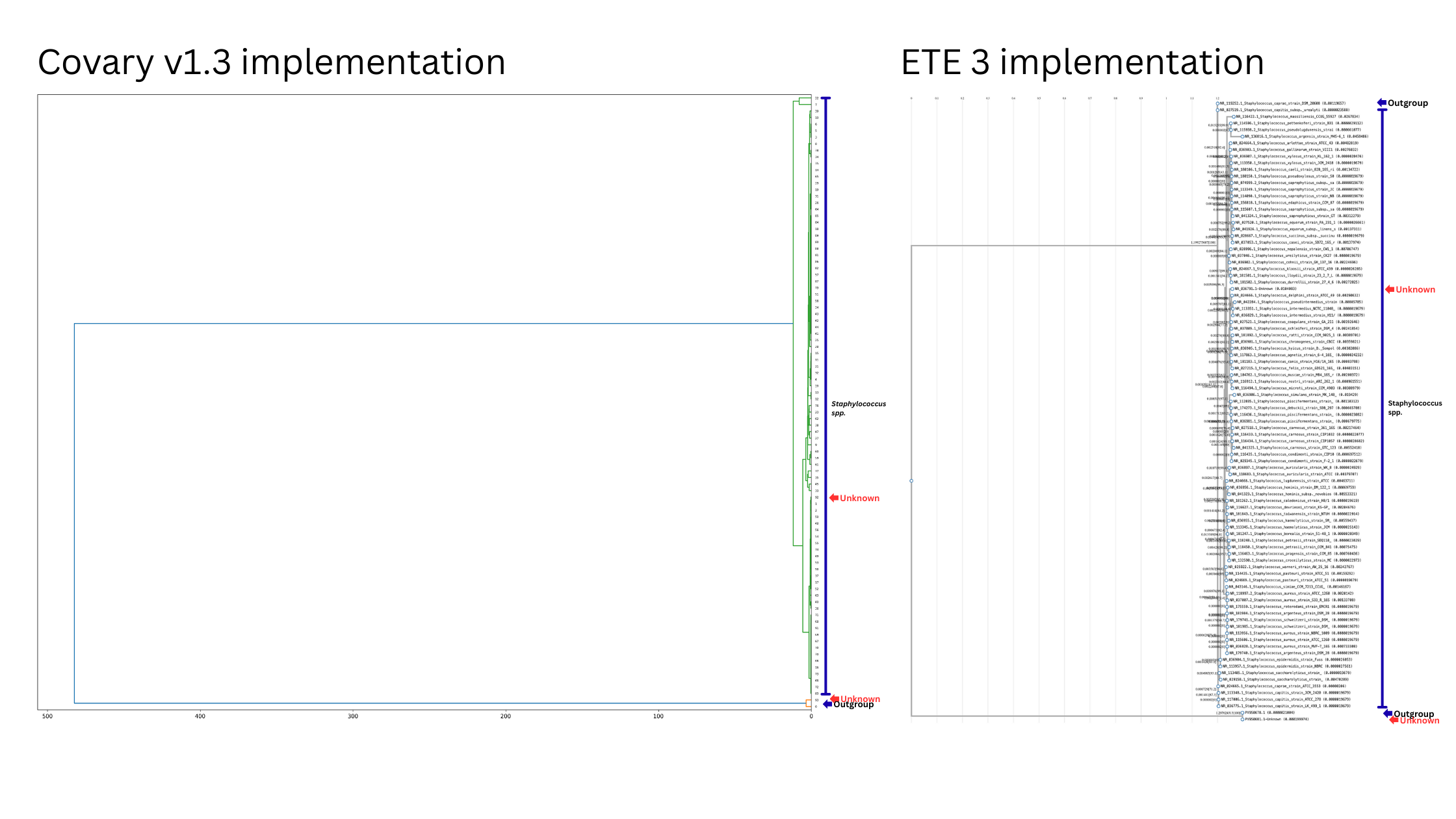 Covary v1.3 vs ETE3/IQ-TREE identification — unknown Staphylococcus and SARS-CoV-2 placed in correct clades
