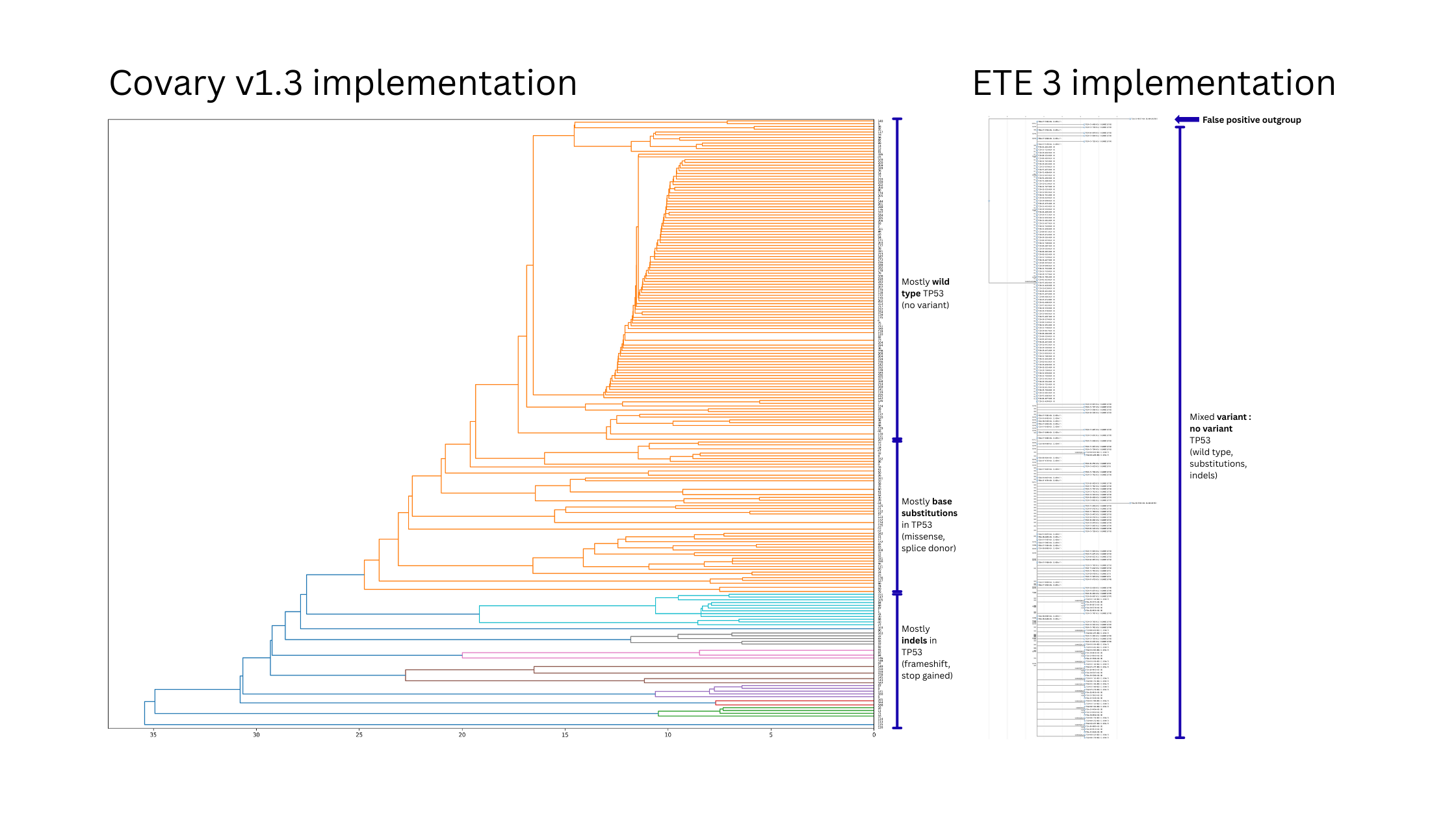 Covary v1.3 vs ETE3 relationship — TP53 mutational clustering in TCGA head and neck cancer cohort